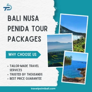 bali nusa penida tour packages