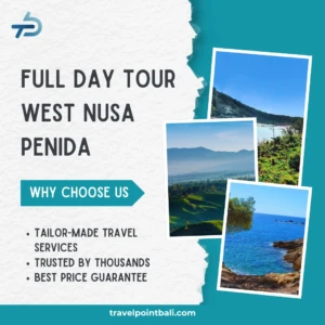 Full Day Tour West Nusa Penida