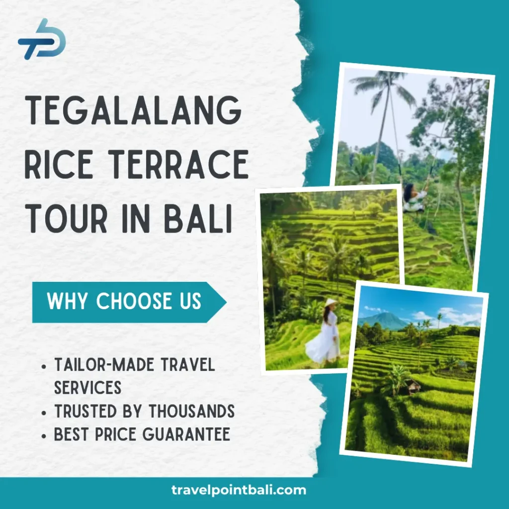 Tegalalang Rice Terrace Tour in Bali