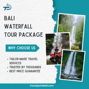 Bali Waterfall Tour Package