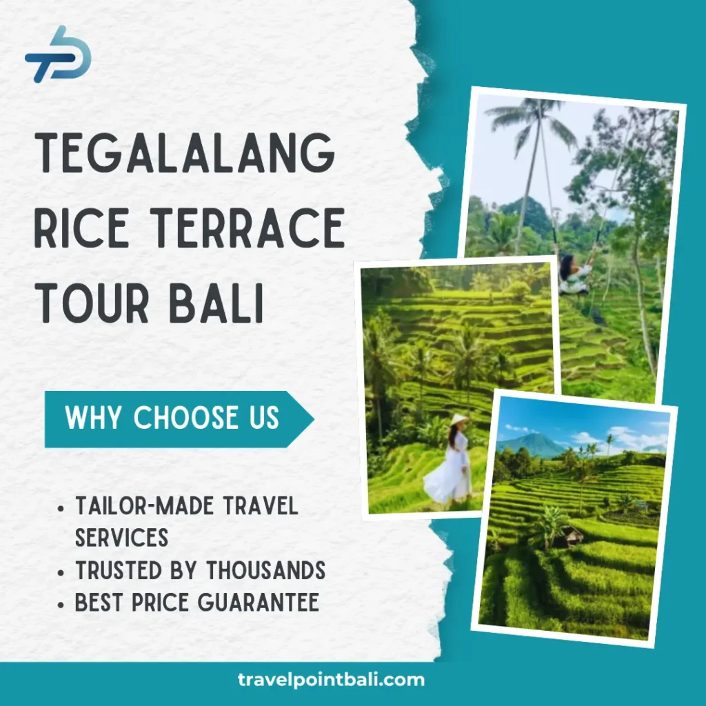 Tegalalang Rice Terrace Tour Bali