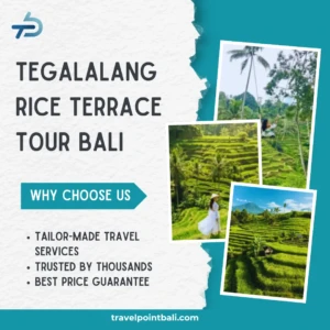 Tegalalang Rice Terrace Tour Bali