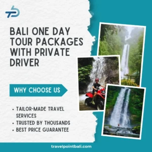 Bali One Day Tour Packages with Private Driver
